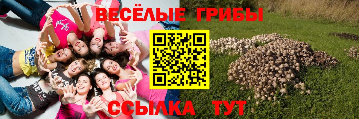 Галлюциногенные грибы Psilocybine cubensis Мценск