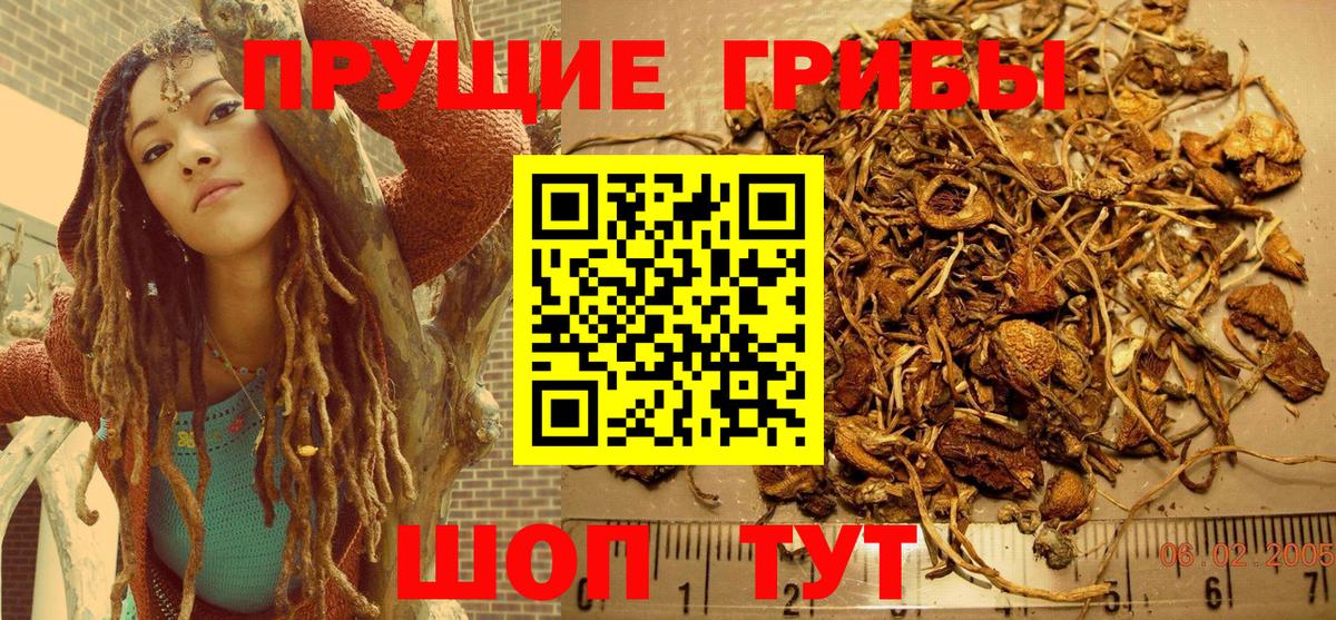 Галлюциногенные грибы Magic Shrooms  Вход с VPN  дарнет шоп  Галлюциногенные грибы Psilocybine cubensis  Мценск 